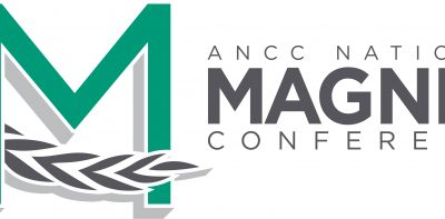 2017 Magnet Conference® Consultations